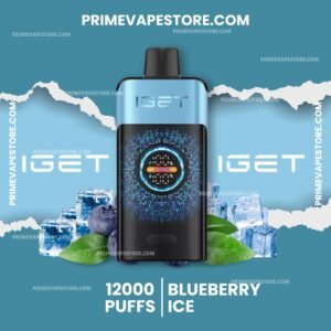 IGET One 12000 Puffs Blueberry Ice
