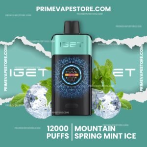 Iget One 12000 Puffs Mountainspring Mint Ice