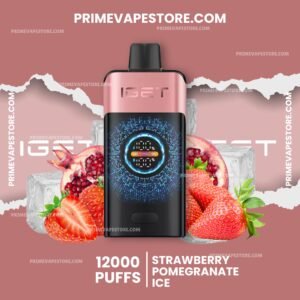 Iget One 12000 Puffs Strawberry Pomegranate Ice